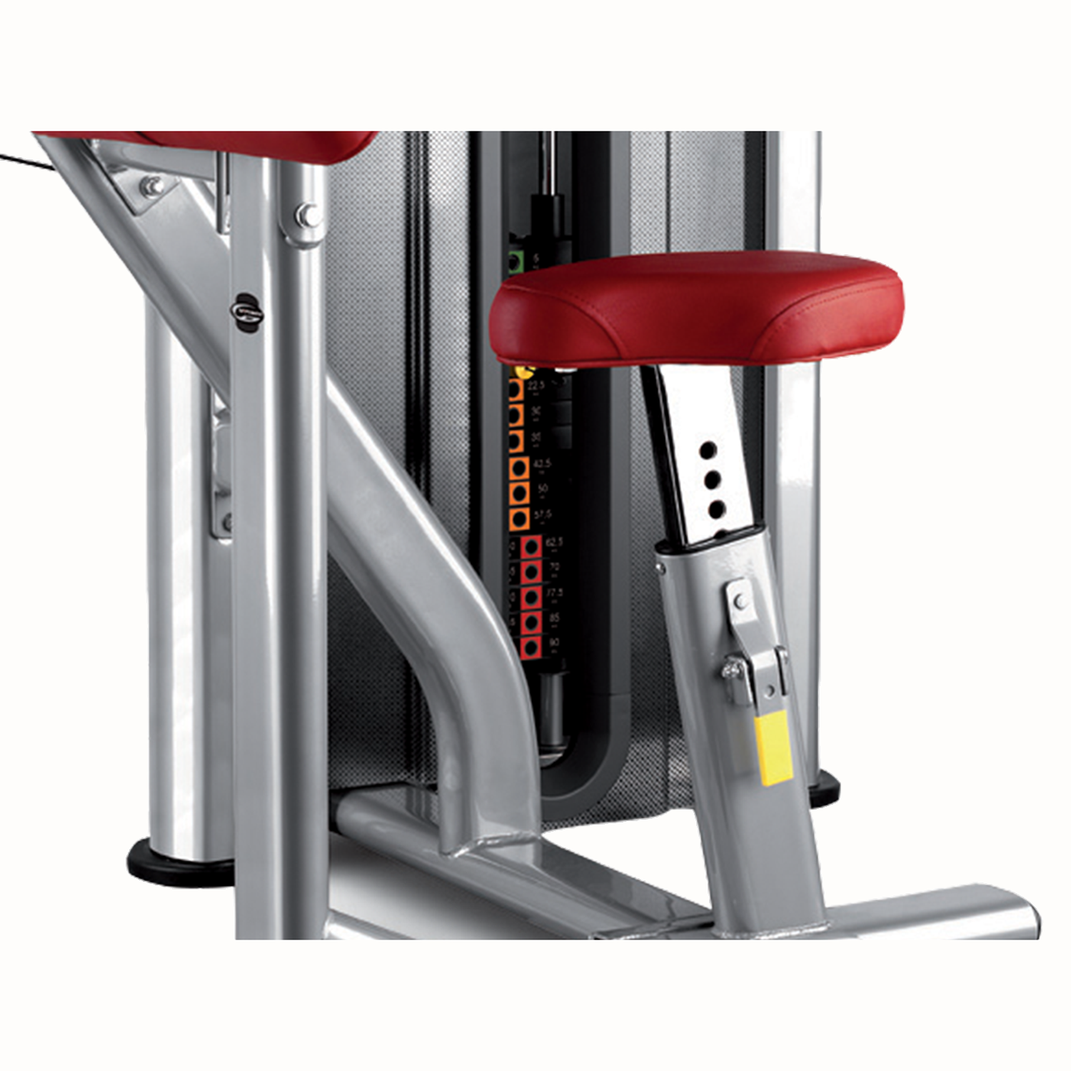 BH L130 biceps Træningsmaskiner bm fitness